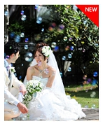 midashi-wedding.jpg